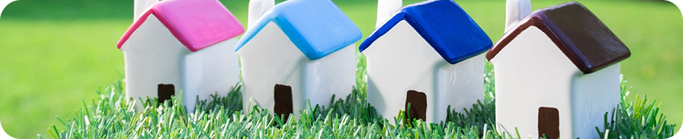 スタッフブログ