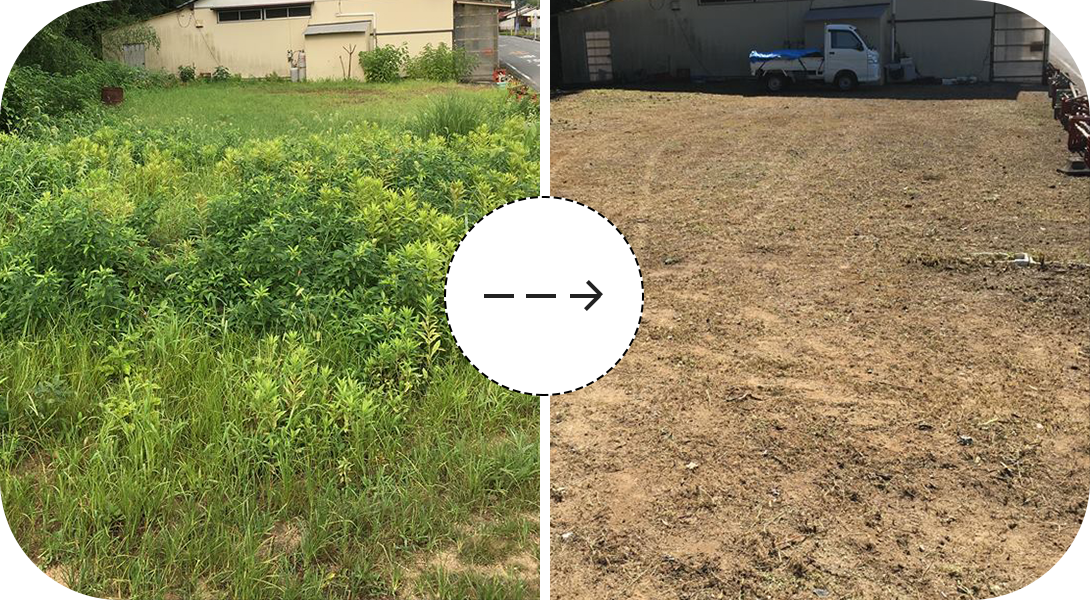 除草の事例